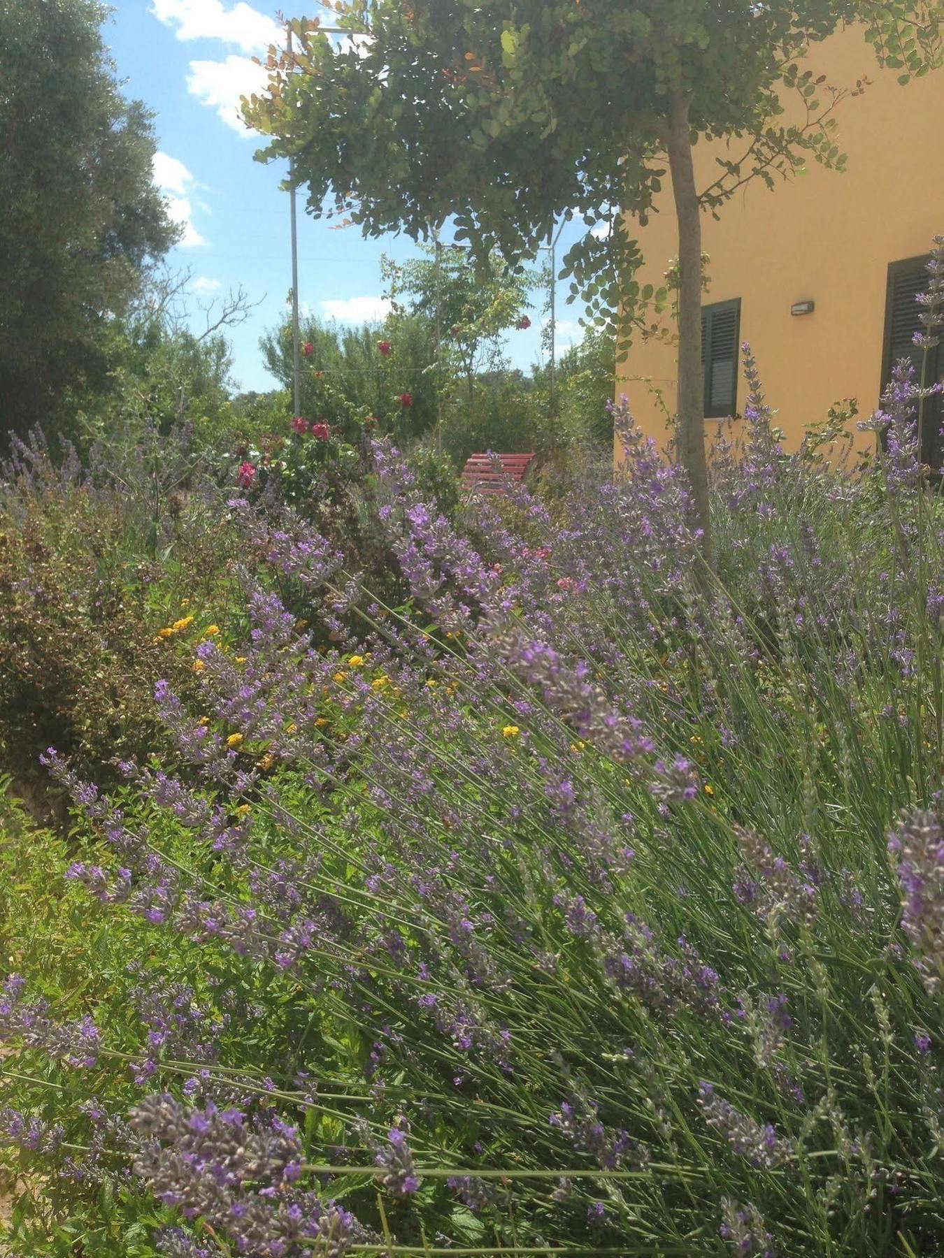 Willa Agriturismo Mele Copertino Zewnętrze zdjęcie